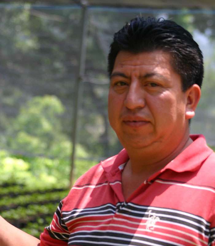 Découvrez notre café bio du Brésil, Mexique
