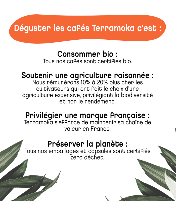 Coffret découverte 6 étuis de Cafés Bio Moulus - 6x250g