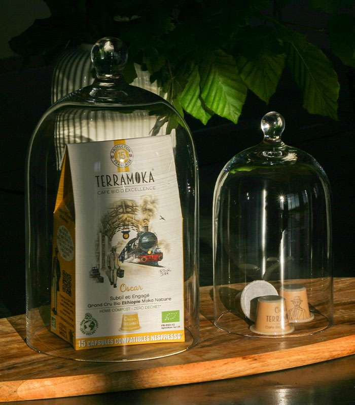 Découvrez notre café bio d'Ethiopie équilibré, capsule cafe, cafe capsule bio, café capsule nespresso, cafe capsule compatible