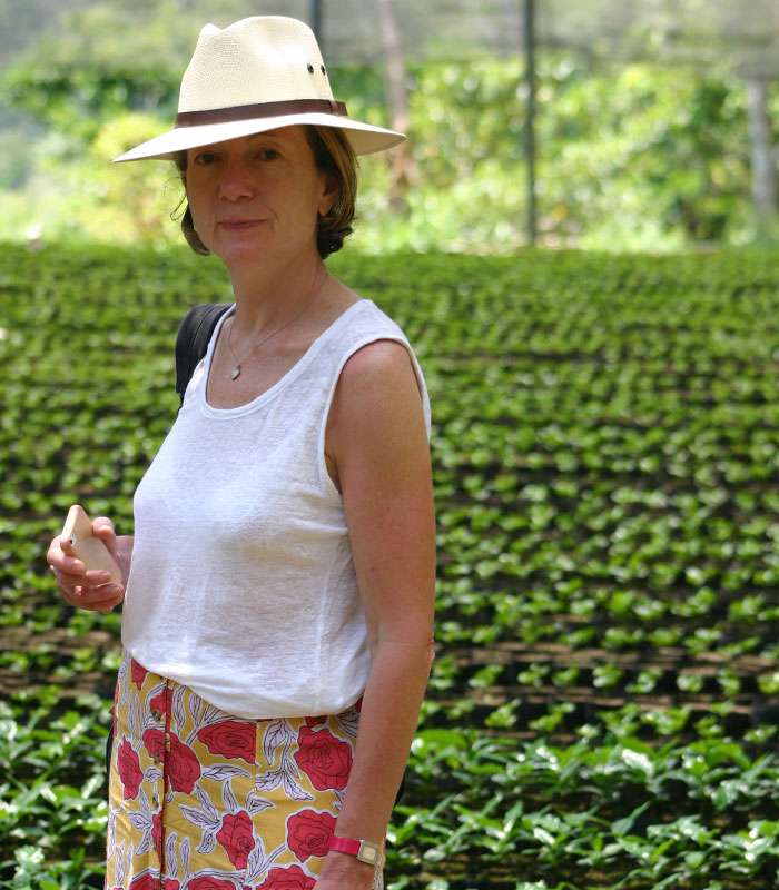 Découvrez notre café bio du Brésil, Mexique, Tanzanie