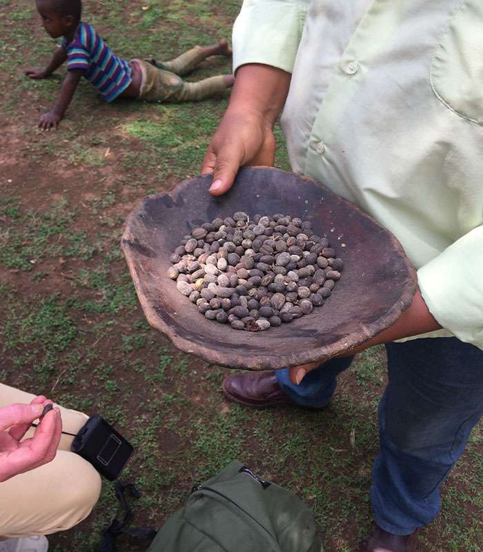 Découvrez notre café bio d’Inde du Brésil et d'Éthiopie